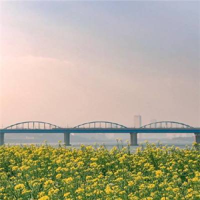黑龙江重点交通项目迎春奋进